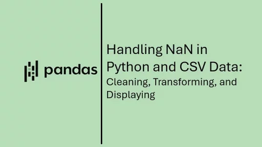 HandlingNaNinPython